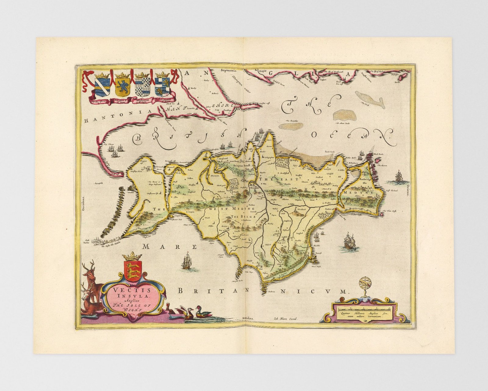 Newport, Blackwater, Carisbrooke